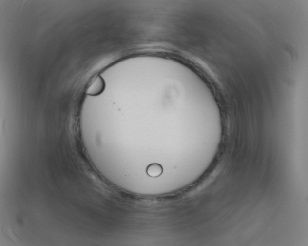 X0000114531405200910191001