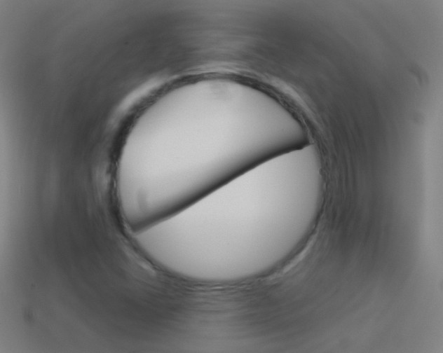 X0000114531406200910191001