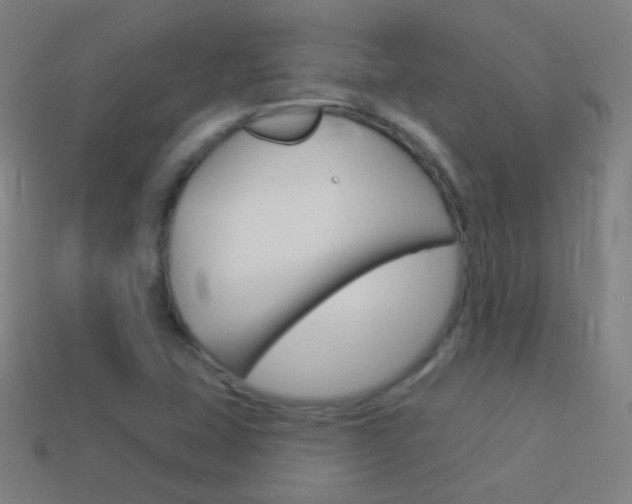 X0000114531407200910191001