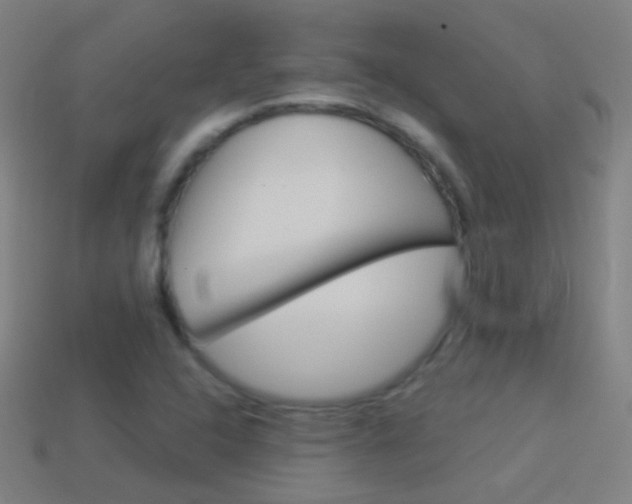 X0000114531408200910191001