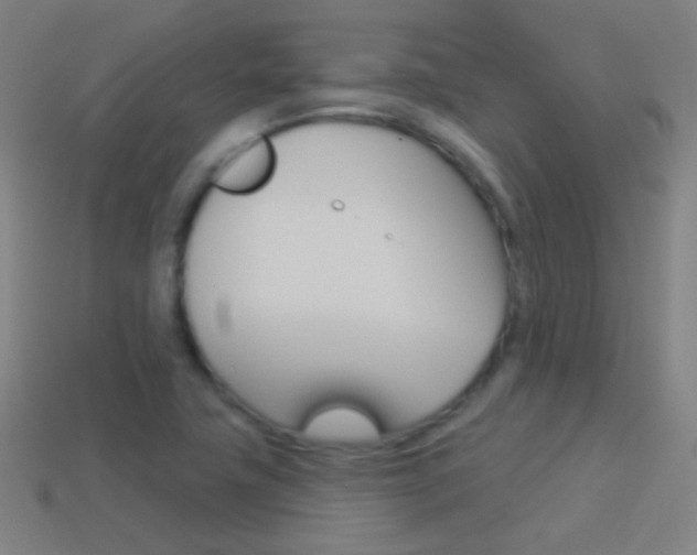 X0000114531411200910191001