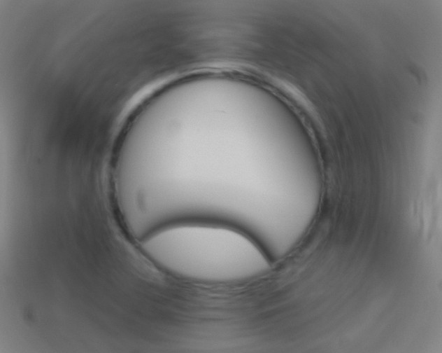 X0000114531412200910191001