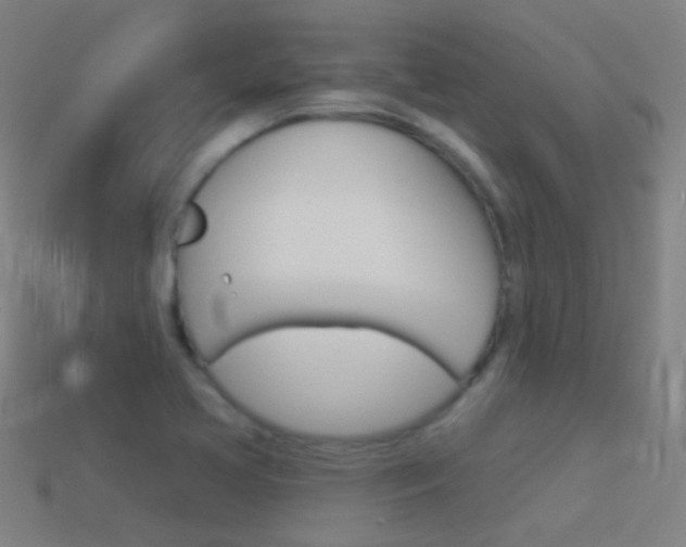 X0000114531413200910191001