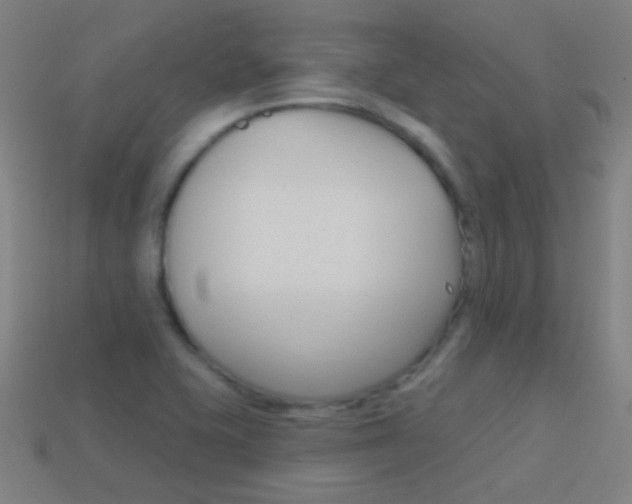 X0000114531415200910191001