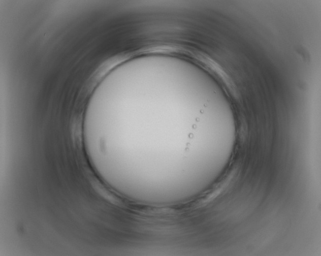 X0000114531417200910191001