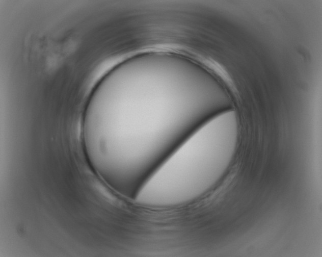 X0000114531420200910191001