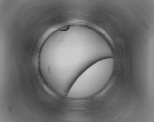 X0000114531421200910191001