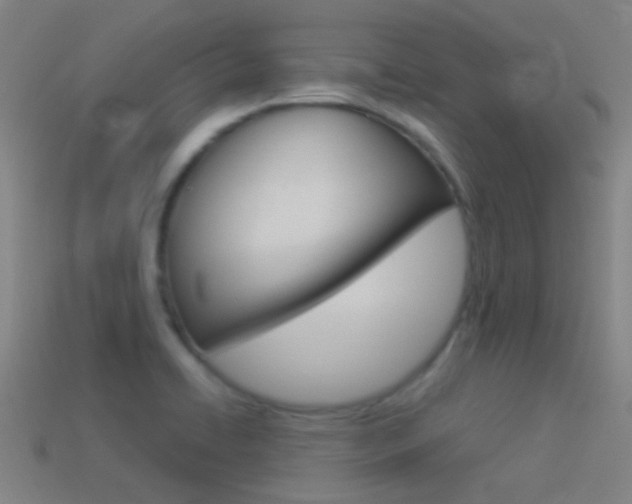 X0000114531422200910191001