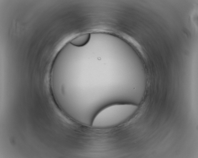 X0000114531423200910191001