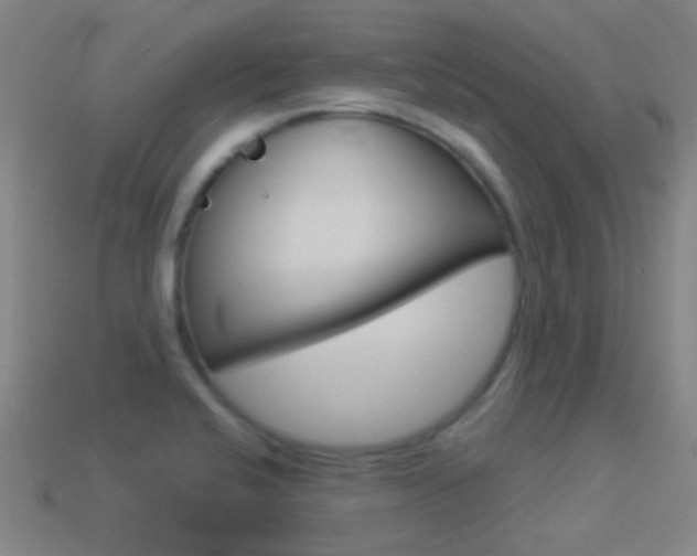 X0000114531424200910191001