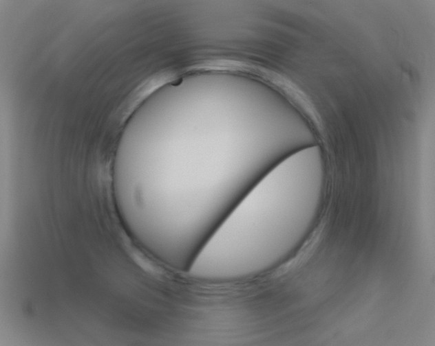 X0000114531425200910191001