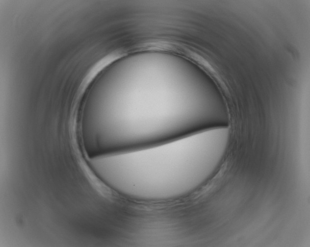 X0000114531426200910191001