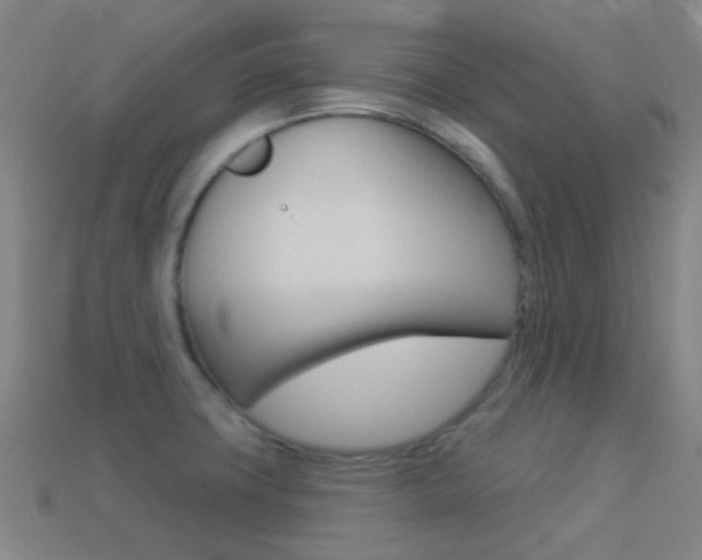 X0000114531427200910191001