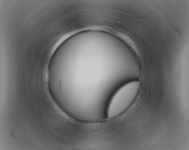 X0000114531428200910191001