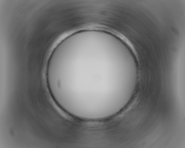 X0000114531429200910191001