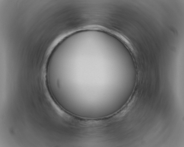 X0000114531430200910191001