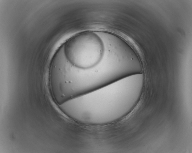 X0000114531432200910191001