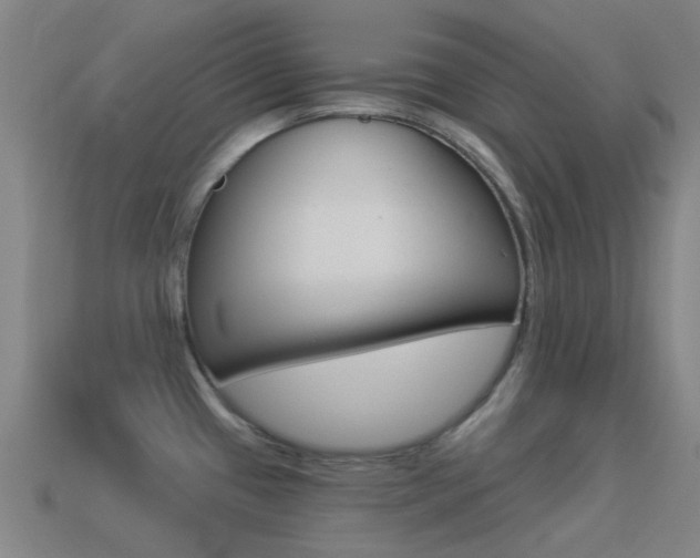 X0000114531433200910191001