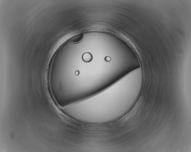 X0000114531434200910191001
