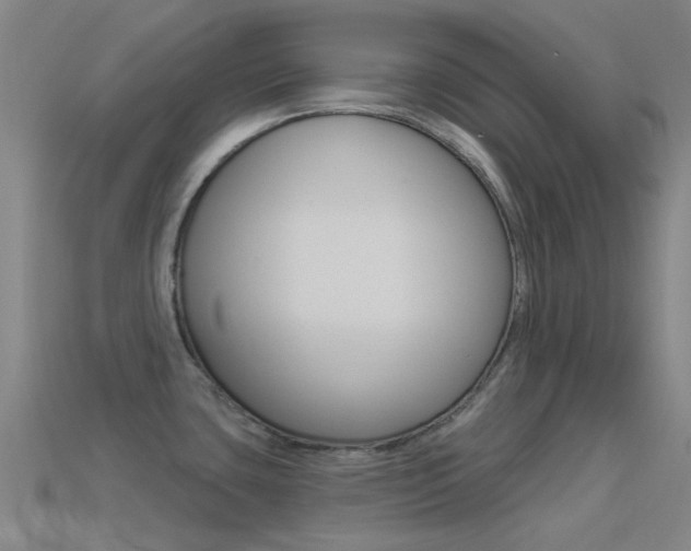 X0000114531435200910191001