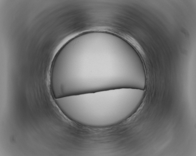 X0000114531436200910191001