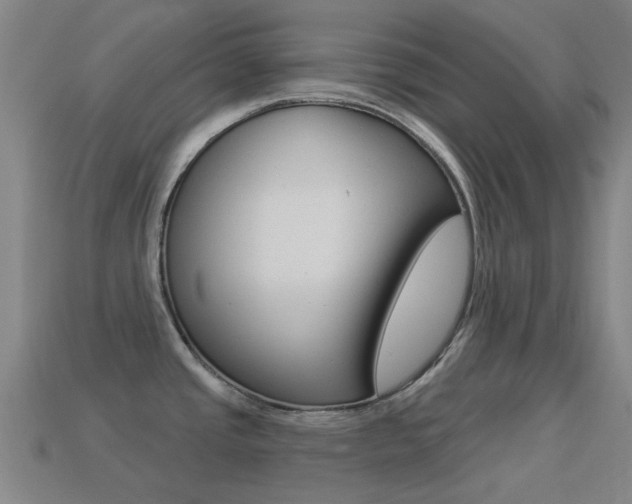 X0000114531437200910191001