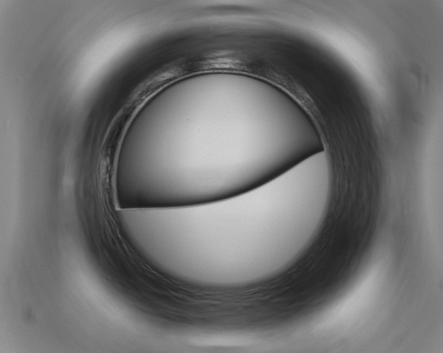 X0000114531438200910191001