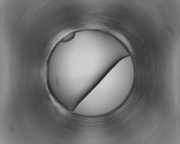 X0000114531439200910191001