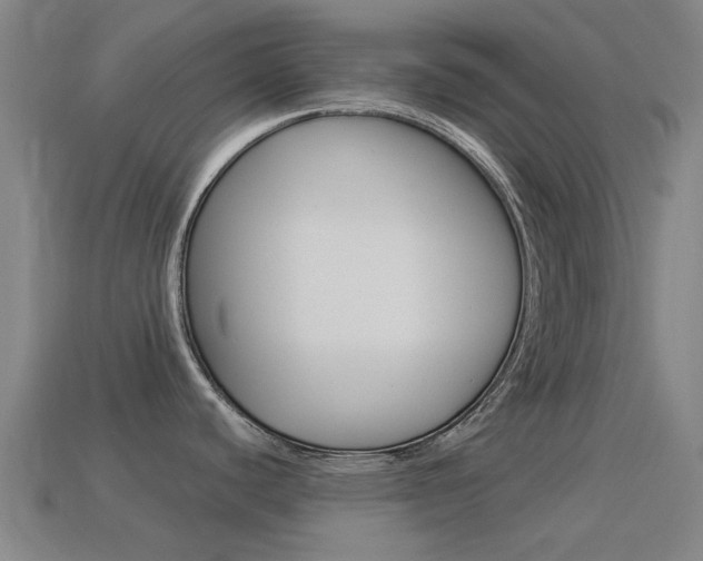 X0000114531440200910191001