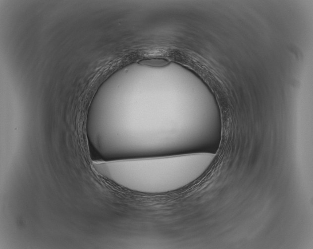 X0000114531441200910191001