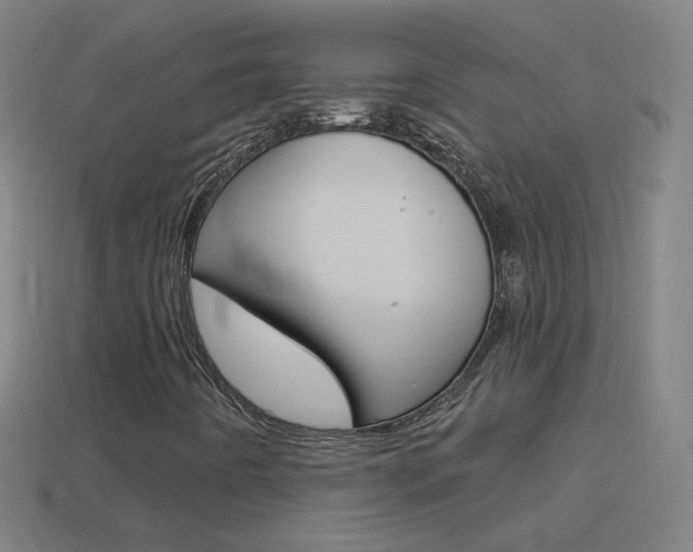 X0000114531442200910191001