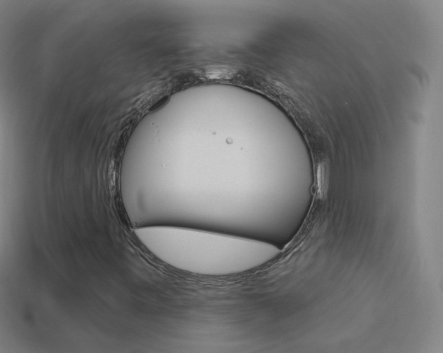 X0000114531443200910191000