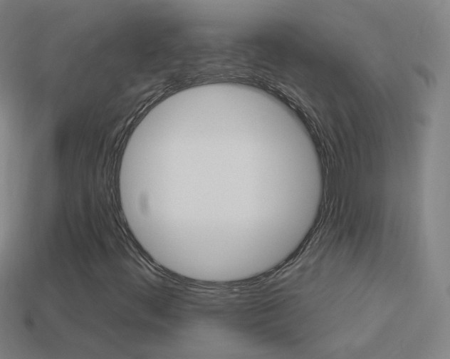 X0000114531444200910191000