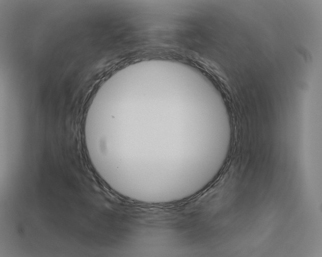 X0000114531445200910191000