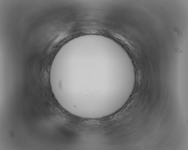 X0000114531446200910191000