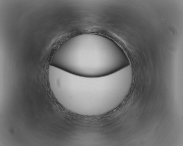 X0000114531447200910191000