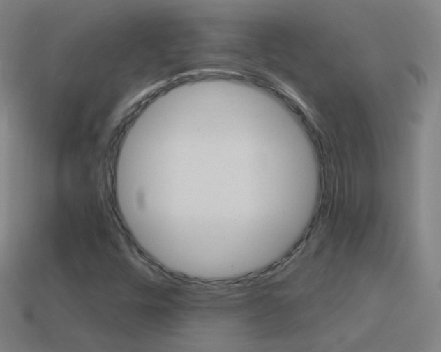 X0000114531448200910191000