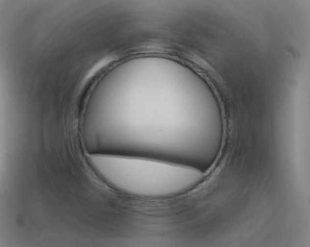 X0000114531450200910191000