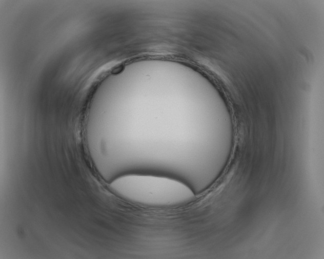 X0000114531451200910191000