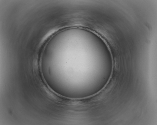 X0000114531452200910191000