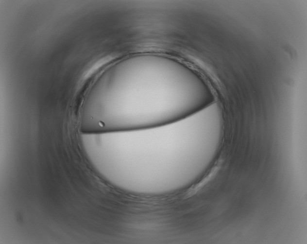 X0000114531453200910191000