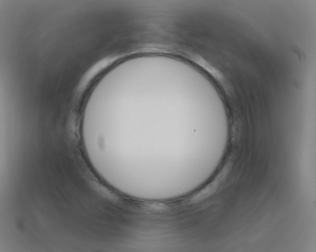 X0000114531454200910191000