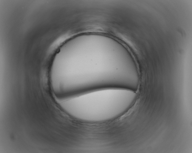X0000114531455200910191000