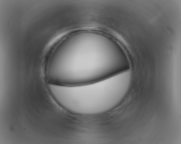X0000114531456200910191000