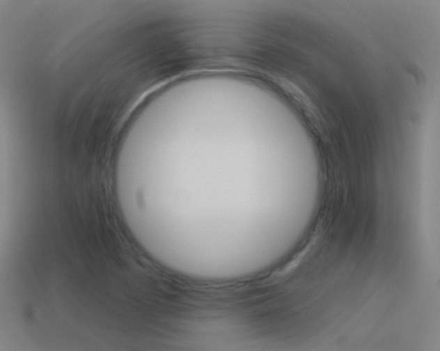 X0000114531457200910191000