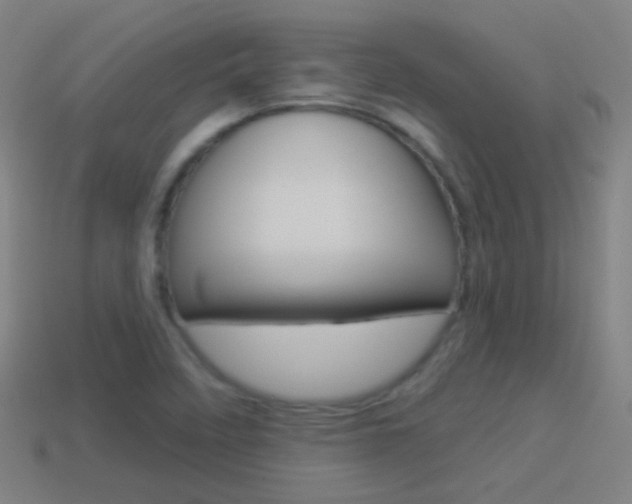 X0000114531458200910191000