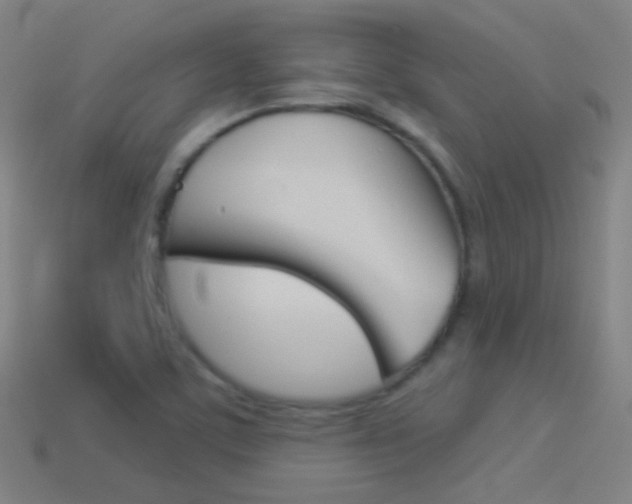 X0000114531459200910191000