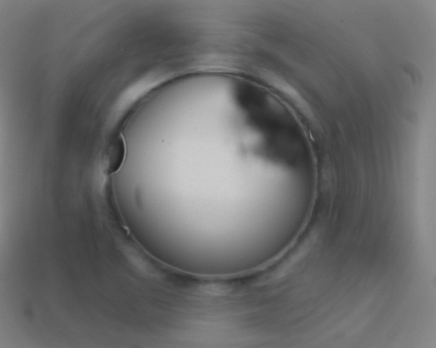 X0000114531461200910191000