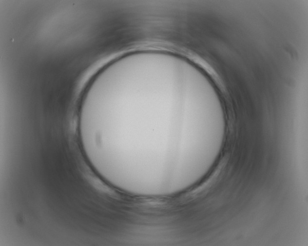 X0000114531462200910191000