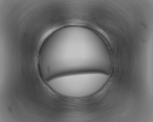X0000114531463200910191000